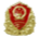 sgs